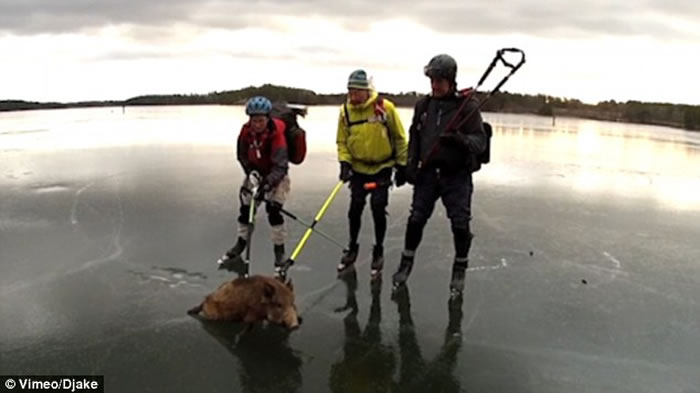 ���Ұ�������������� �������������������