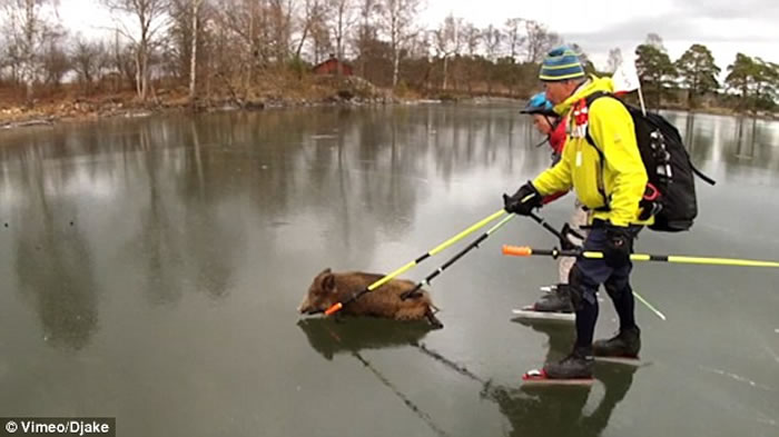 ���Ұ�������������� �������������������