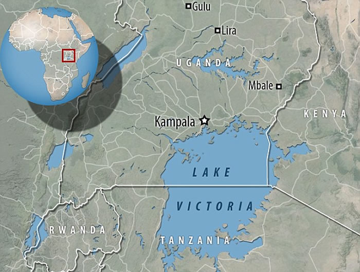 在肯尼亚发掘出数件来自7.5万年前的化石