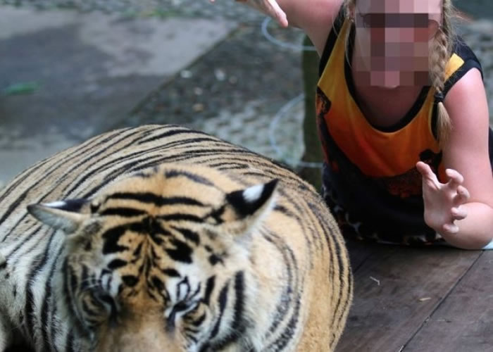 �ϻ���Ϊ�������յġ����ߡ���