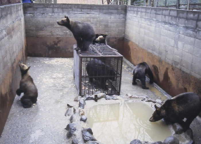 ��Щ�ܻᱻ������ʮ����С�Ŀռ䣬�����Ǳ���ѹ�֡�