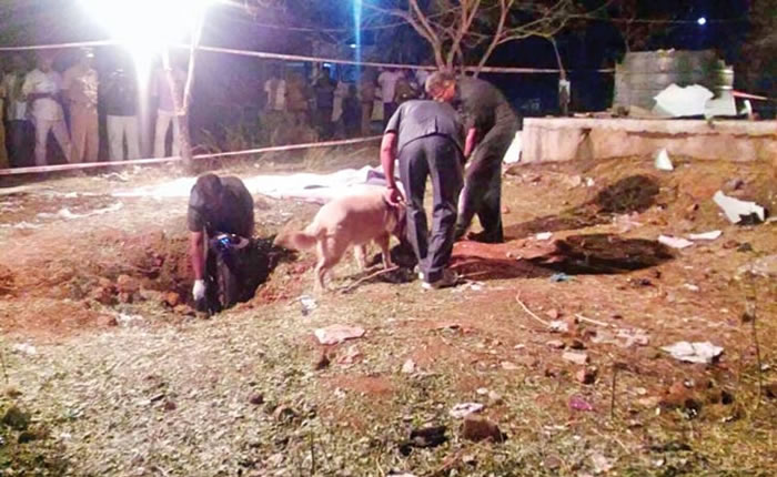 印度男子Kamaraj成为首位被陨石击中而丧生的人?