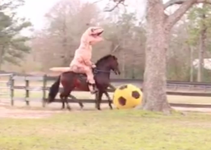 ������Ц�������硱Michael Gascon������������������ֶ���