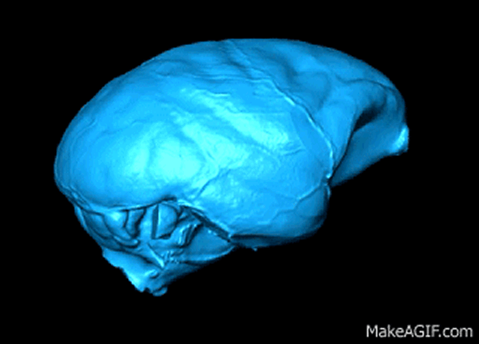 �´�½�������״�Ľ���