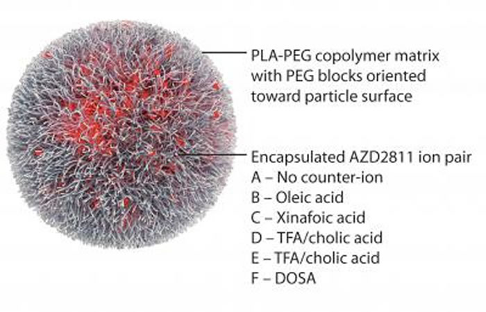 多聚物纳米颗粒Accurin包封的临床候选药物AZD2811是一种极光B激酶抑制剂