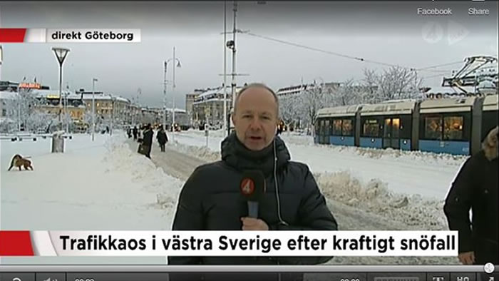 ������Bo Carlsson�ֳ�������ѩ��ɵ����й�糵̱�� ���������й�糵ʻ��