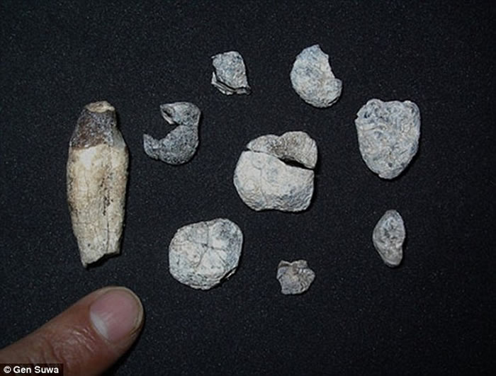 �����صĵ��򱨵�������Ѷ��ѧ������/���룩��Ӣ��ÿ���ʱ�������Ŀǰ����ѧ�������о����������޷��ֵĲ��鶯�������ʯ����һ��Զ�����ɣ���ʾ��1000����ǰ��������