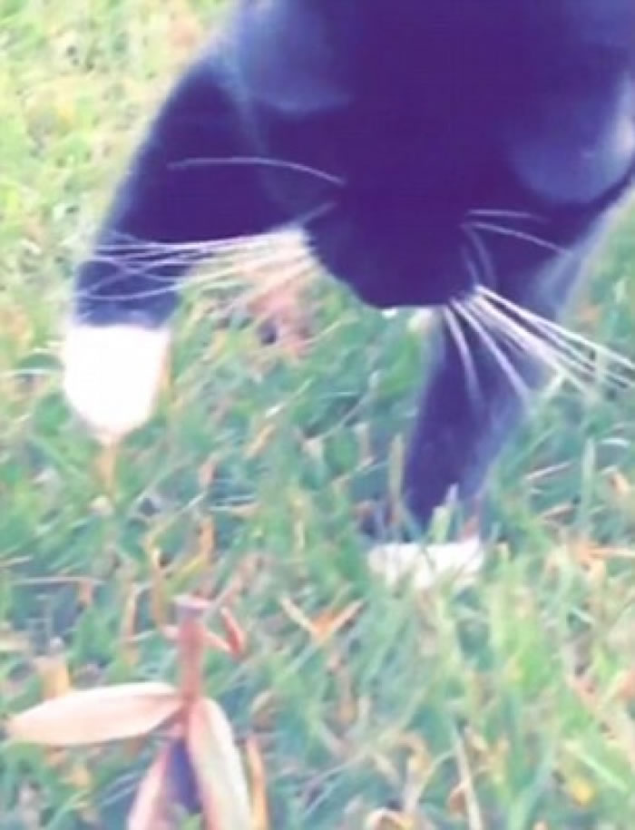 ������èצ��������뷴��һ��KO