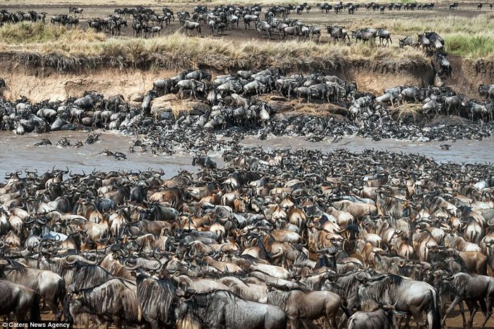 ��������������8��ţ���Ǩ�� ����������Ⱥ���ܲ����ҵ���