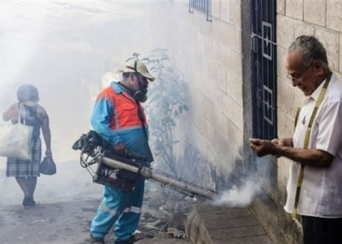 �����ӽ������������Կ�կ�����顣