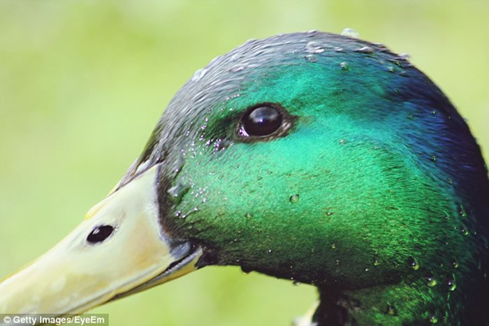 ѧơѼͼ ֵڶֻʱɷӳԡ˼ٶȡ