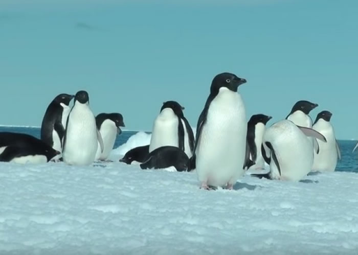 �����������Ŀ��2�����15��