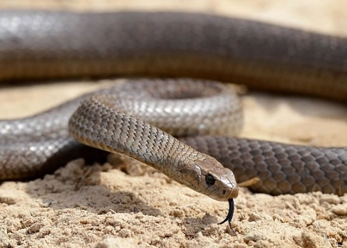 ϤŮͯⶫ۾ߣͼҧˣ䶾ԿȫڶǿͼƬ