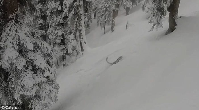 �����ο͵�ӡ�ȹŶ������ѩ����ϡѩ��ͻȻ�ӻ�ѩ�дܳ�