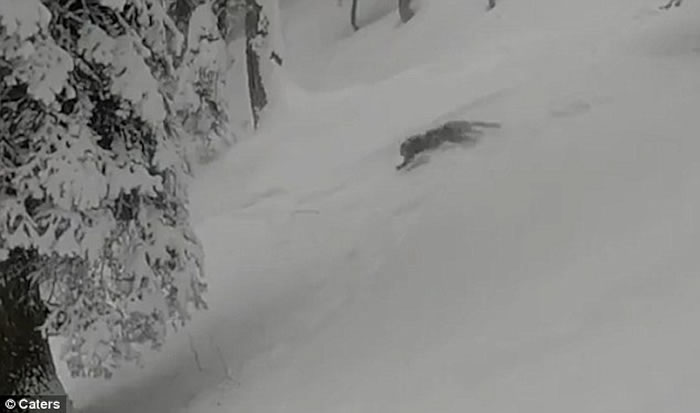 �����ο͵�ӡ�ȹŶ������ѩ����ϡѩ��ͻȻ�ӻ�ѩ�дܳ�