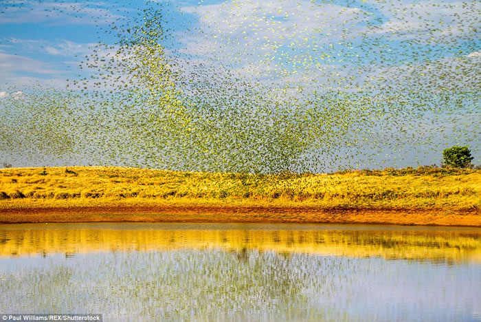 Ӣ��BBC��Ȼ��ʷƵ����Ƭ�����㵽�Ĵ�������½8���ֻ���Ĺ���׳����ɫ�������硱