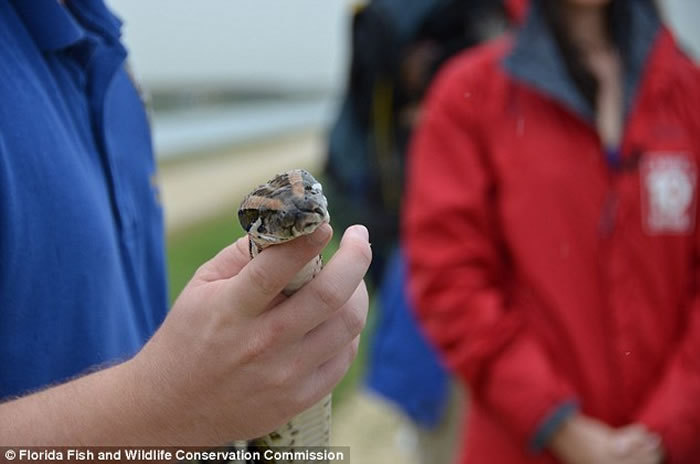 �������������Ϊ��1���µĲ�����ս�������� �����������102��