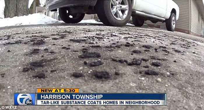 ������Ъ������ɭ��ͻȻ���𡰺��ꡱ ���ǿֻŲ���