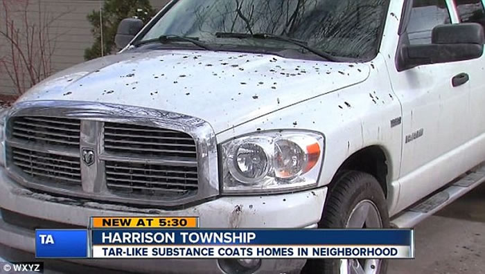 ������Ъ������ɭ��ͻȻ���𡰺��ꡱ ���ǿֻŲ���