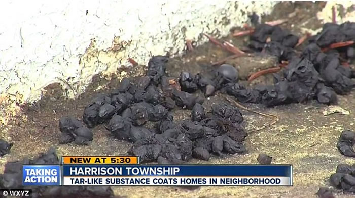 ������Ъ������ɭ��ͻȻ���𡰺��ꡱ ���ǿֻŲ���