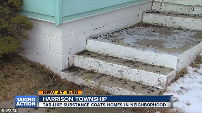 ������Ъ������ɭ��ͻȻ���𡰺��ꡱ ���ǿֻŲ���