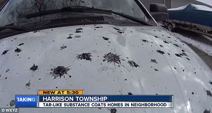 ������Ъ������ɭ��ͻȻ���𡰺��ꡱ ���ǿֻŲ���