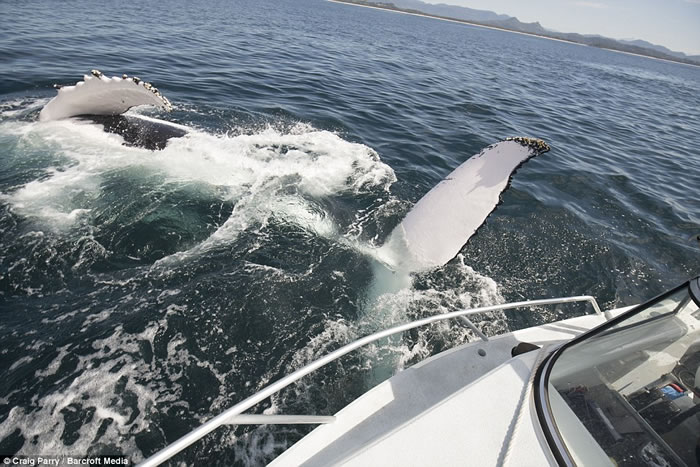 ˮ����ӰʦCraig Parry�ڰĴ���������ͷ40���ؾ��;���������