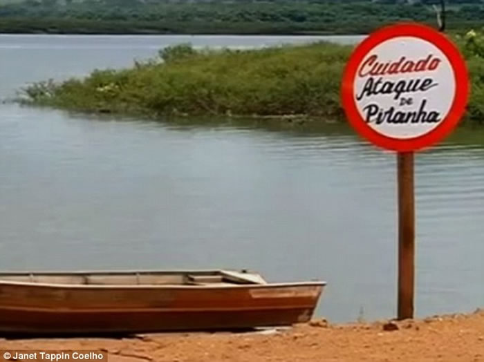 巴西东北部生态受损,凶猛食人鱼——水虎鱼开始频繁攻击人类