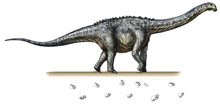 镰刀状足迹与造迹者的关系——绘图张宗达