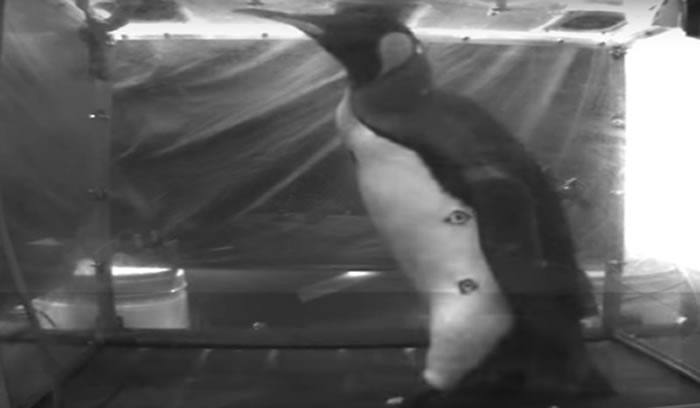 ���ֵ�����ڰ��浽��ֳ�ص�·�ϸ��п���ˤ��