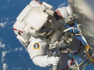 牙齿表面的粗糙程度有助于判断动物的食性 - 神