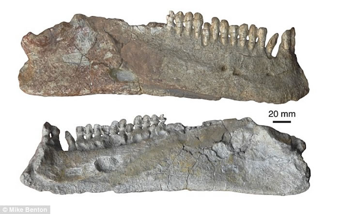 �޼�����ʯ