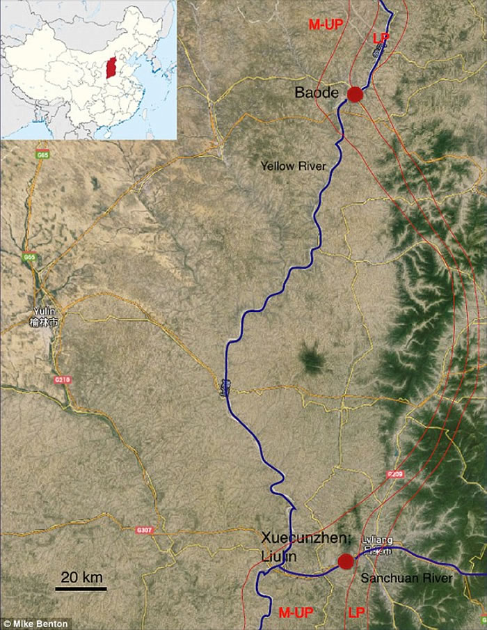 �й����ڷ���6�־޼�����������Ҫ�����ڶ�����ʱ�ڣ�������ʯ������ʡ��ɽ��ʡ�ƺ��ذ��ھ��֡�