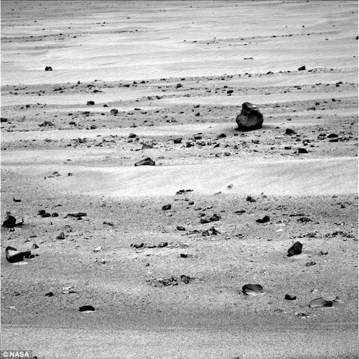 ���������˳��ڻ�����Ƭ�з���һ�ѡ���ǹ��