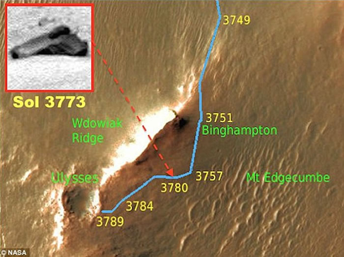 ���������˳��ڻ�����Ƭ�з���һ�ѡ���ǹ��