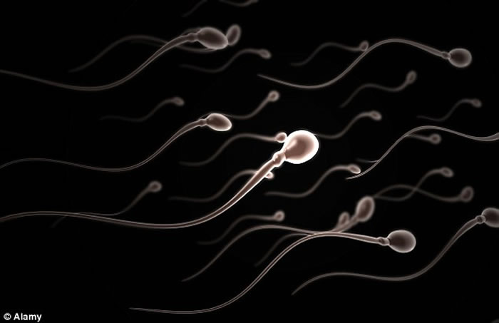 ��ɫ���о�ָ���ֻ����ڿ��������پ�������