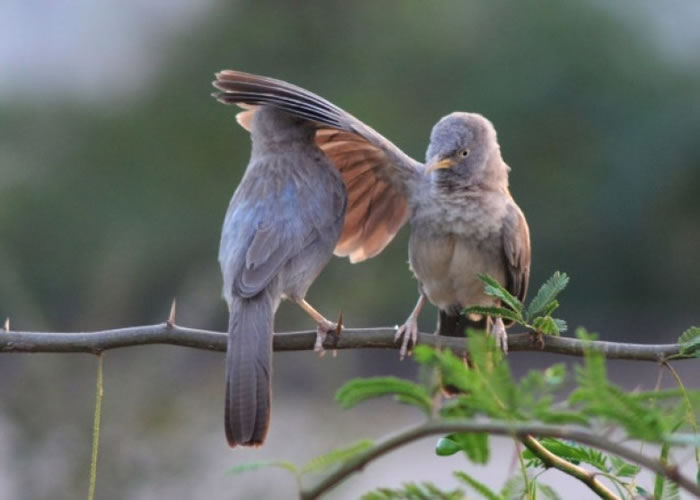 ����Ҫ������ӡ�ȴ�����̳���Ĵ�ͬ��