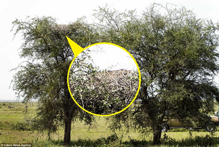 �����ҵ�̹ɣ���Ǵ��������صĻ�����