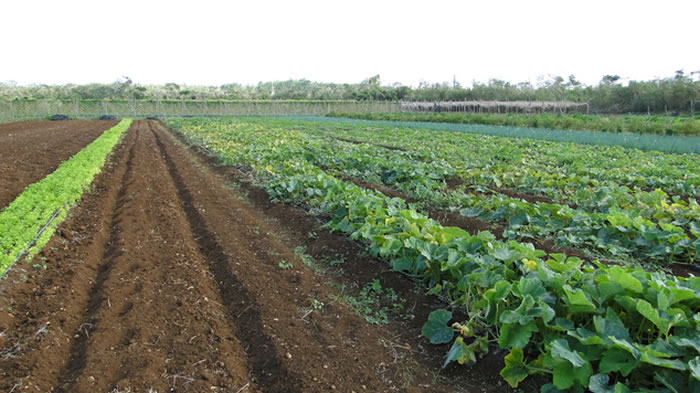 ʿ��������������Ƭũ���Ϸ���