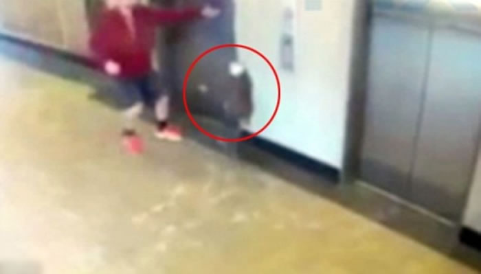 �������������¹�����