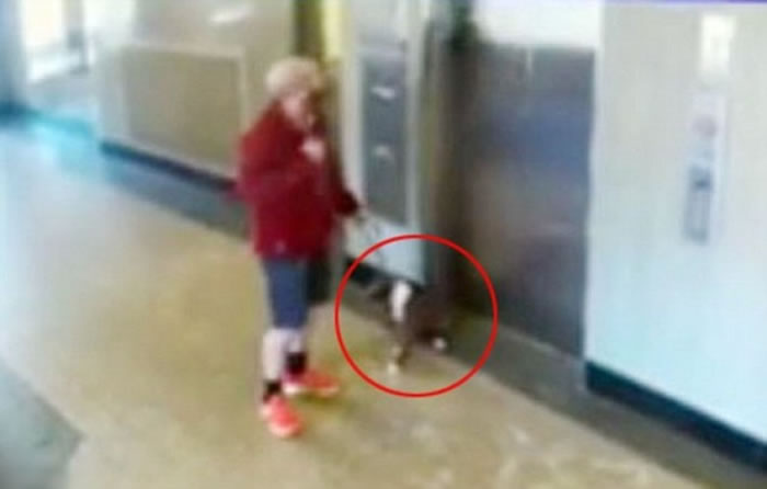 ������ɹ��ѹ����Żص��ϣ���Ȧ����