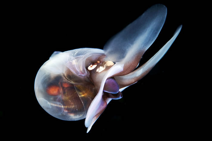 ������ѧ�ҷ����U�ݴ�����ʱ���۷䡰���衱