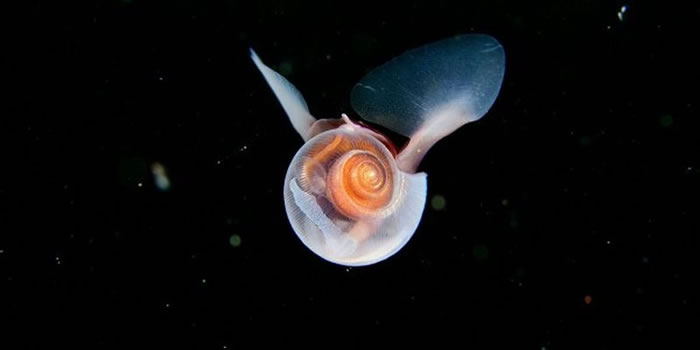 ������ѧ�ҷ����U�ݴ�����ʱ���۷䡰���衱