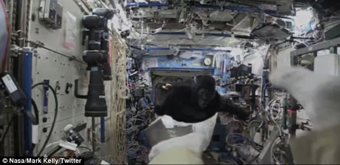 ����̫��վ��Ȼ����һֻ�������ɡ�