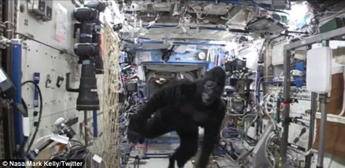 ����̫��վ��Ȼ����һֻ�������ɡ�