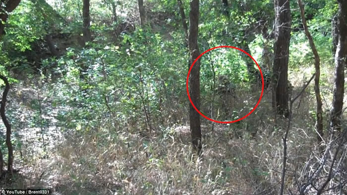 ��������½ս��ԱBrent Downing�Ķ�Ƭչ������������