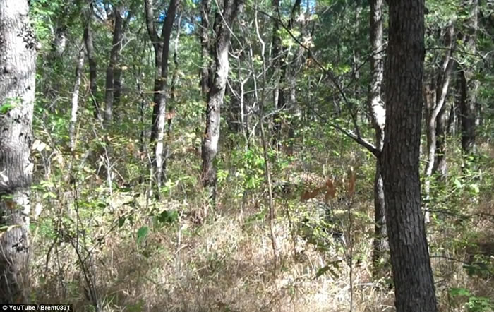 ��������½ս��ԱBrent Downing�Ķ�Ƭչ������������