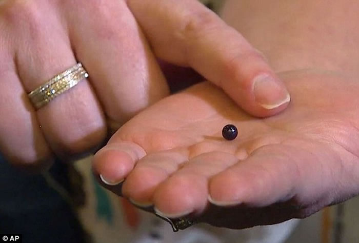 美国妇女在意式餐厅享用蛤蛎大餐,意外吃出罕见紫珍珠