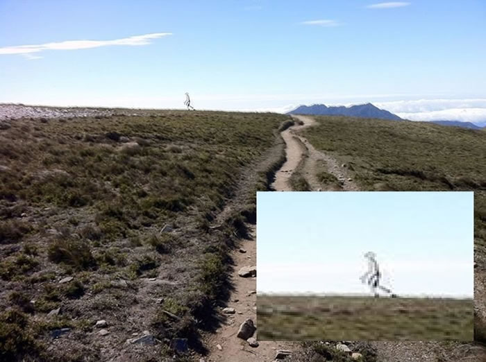 ̨��̨��������������������Ƭ����������ȷ������α��