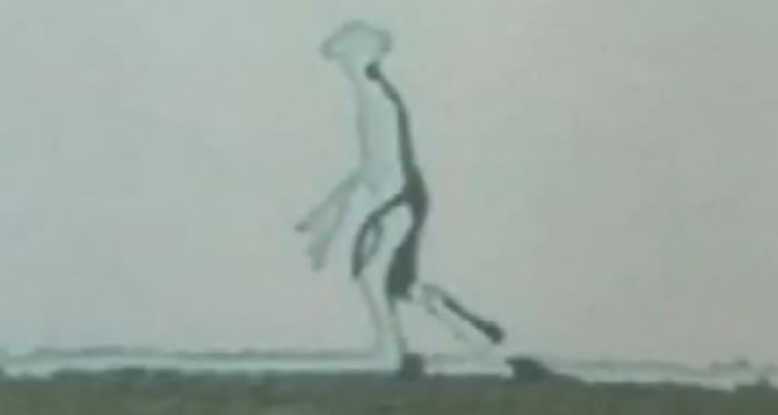 ̨��̨��������������������Ƭ����������ȷ������α��